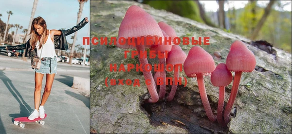 герыч Арсеньев