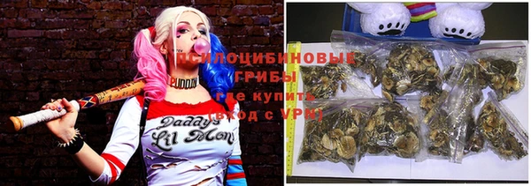 герыч Арсеньев