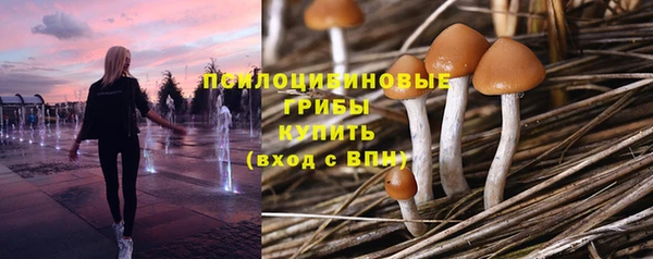 герыч Арсеньев