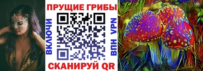 купить  цена  Омутнинск  Галлюциногенные грибы Psilocybine cubensis 